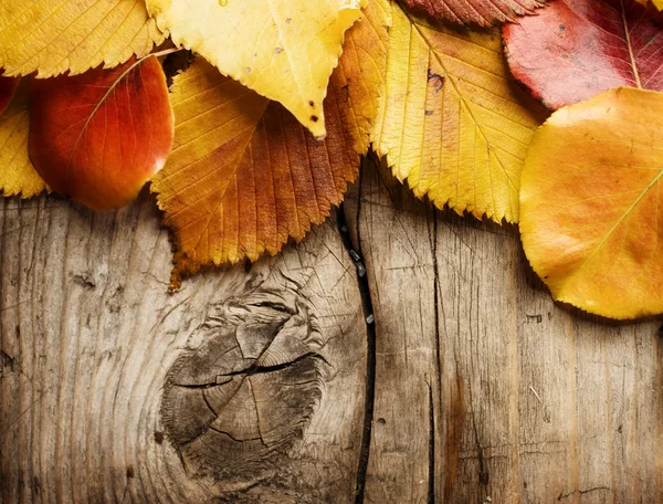 Herfstbladeren op hout achtergrond. met kopie ruimte — Stockfoto