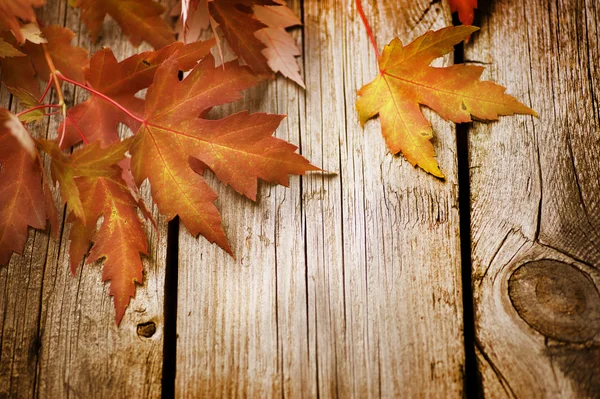 Herbstblätter über hölzernem Hintergrund. Mit Kopierraum — Stockfoto