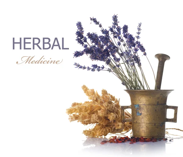 Concepto de medicina herbal — Foto de Stock