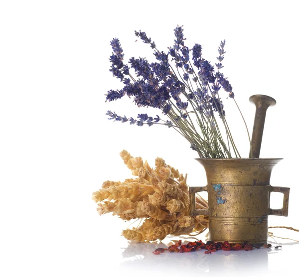 Herbal Medicine Concept — Stock Photo, Image