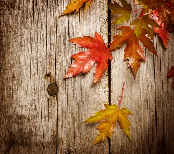 Hojas de otoño sobre fondo de madera.Con espacio de copia — Foto de Stock