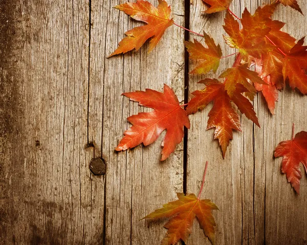 Hojas de otoño sobre fondo de madera.Con espacio de copia —  Fotos de Stock