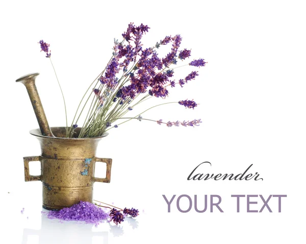 Lavendelkosmetik-Konzept — Stockfoto