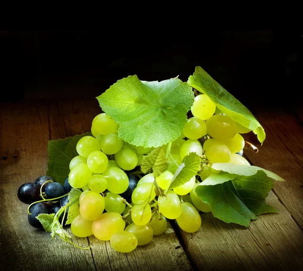Elszigetelt fekete szőlő — Stock Fotó