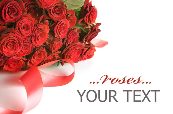 Rosas San Valentín —  Fotos de Stock