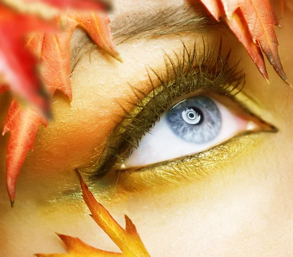 Olhos de outono Maquiagem — Fotografia de Stock