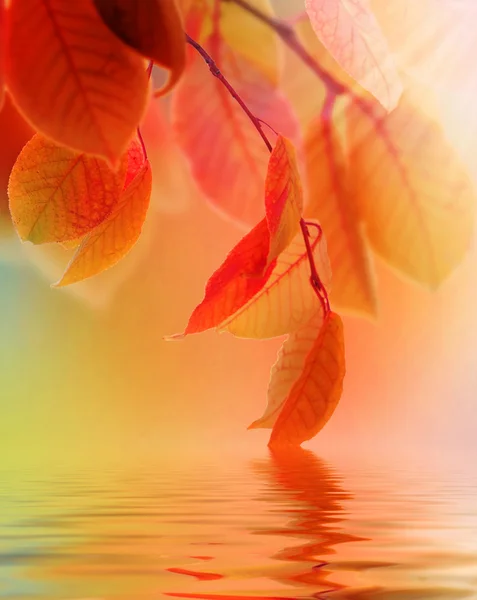 Herbstszene — Stockfoto