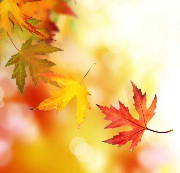 Krásné podzimní pozadí — Stock fotografie