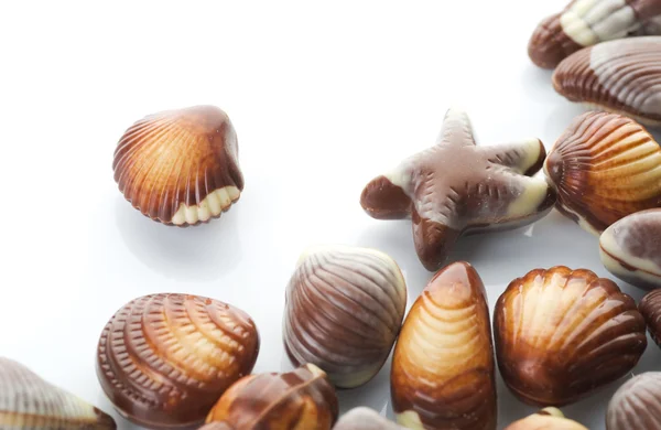 Üzerine beyaz çikolata deniz kabuklarını — Stok fotoğraf