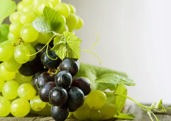 Гроздь винограда — стоковое фото