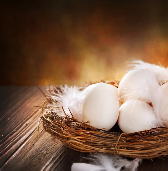 Ovos de Páscoa no ninho — Fotografia de Stock