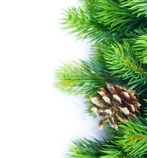 Kerstmis fir tree grens over Wit — Stockfoto