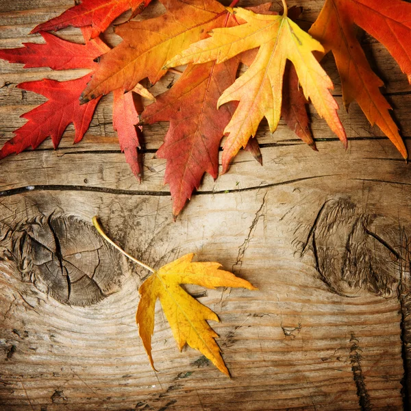 Herfstbladeren op hout achtergrond. met kopie ruimte — Stockfoto