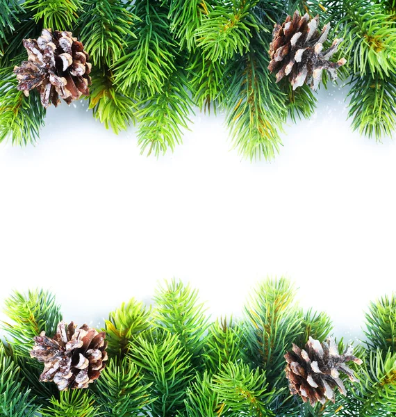 Jul fir tree gränsen — Stockfoto
