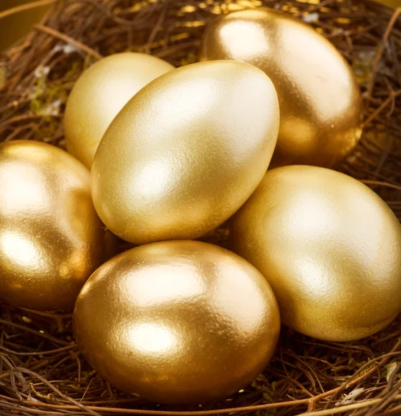Uova nido d'oro — Foto Stock
