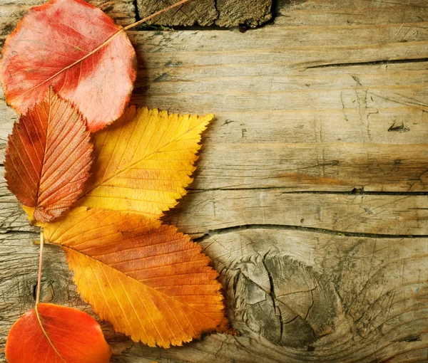 Осенние листья на деревянном фоне. С копировальным местом — стоковое фото