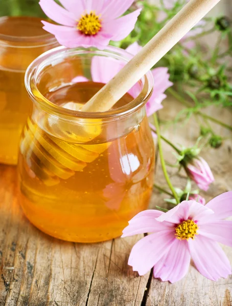 健康蜂蜜 — 图库照片