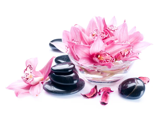 Wellness-Steine und Orchideenblumen über Weiß — Stockfoto