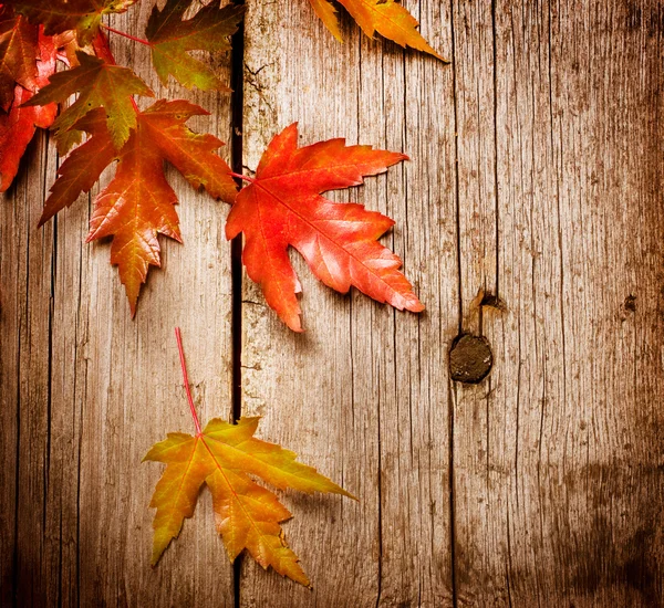 Осіннє листя над дерев'яним тлом. За допомогою простору для копіювання — стокове фото