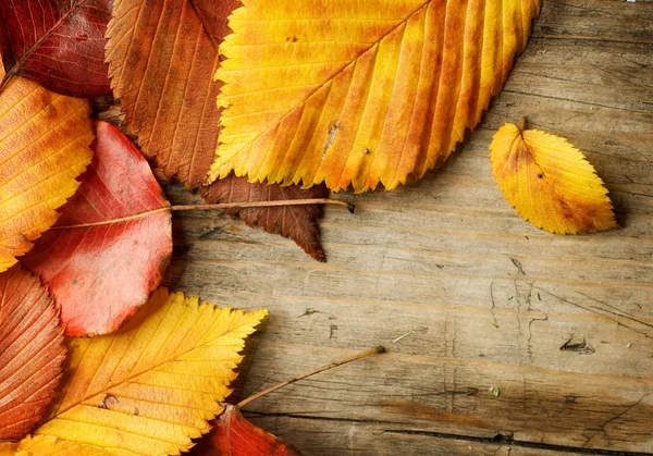 Hösten löv över trä bakgrund — Stockfoto