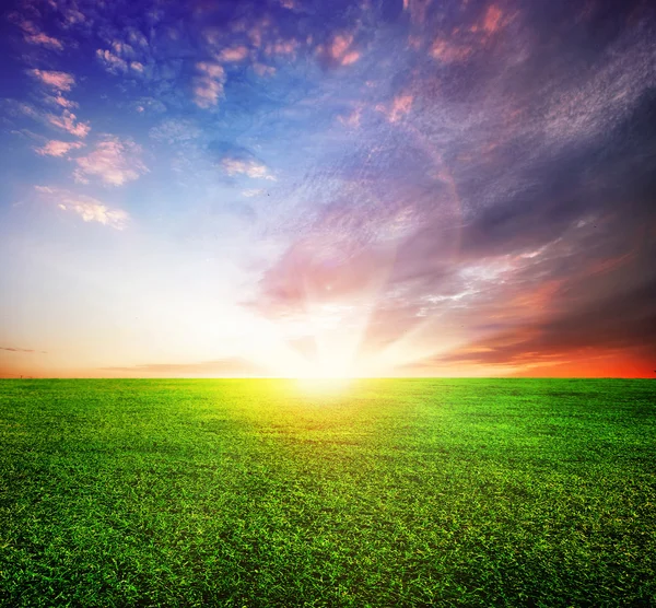 Campo verde e pôr-do-sol bonito ou nascer do sol — Fotografia de Stock
