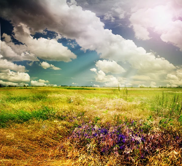 Hermosa naturaleza Paisaje rural — Foto de Stock