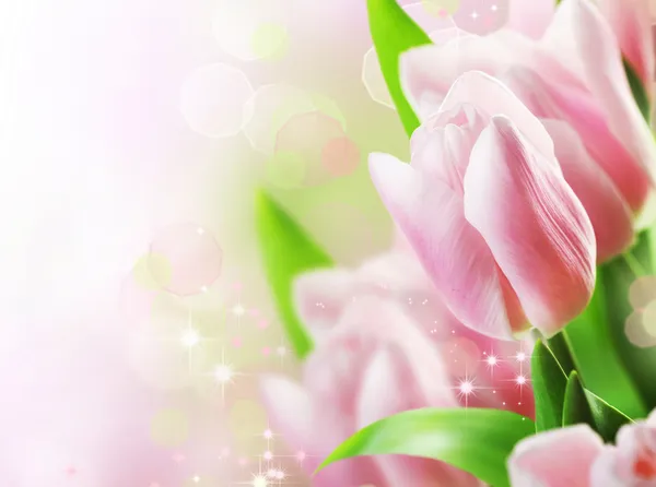 Lale çiçek tasarım bahar — Stok fotoğraf