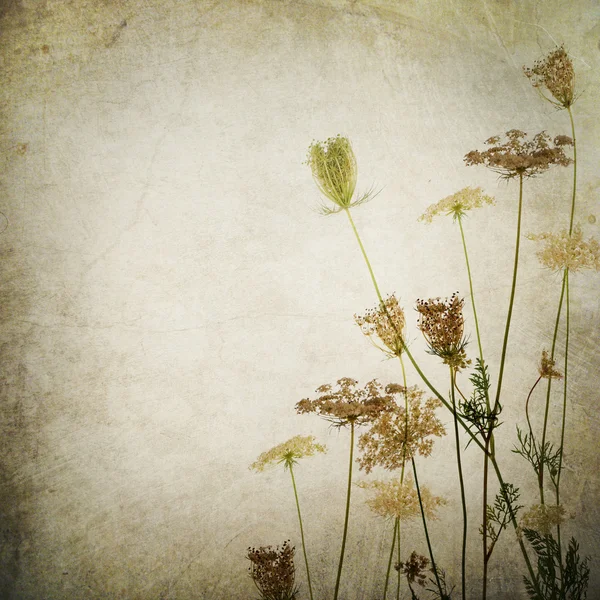 Vintage floral grens — Stockfoto