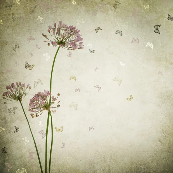 Fundo floral vintage bonito — Fotografia de Stock