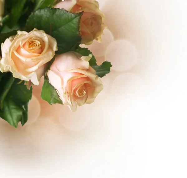 Hermosa frontera de rosas. Sepia Tonificado —  Fotos de Stock