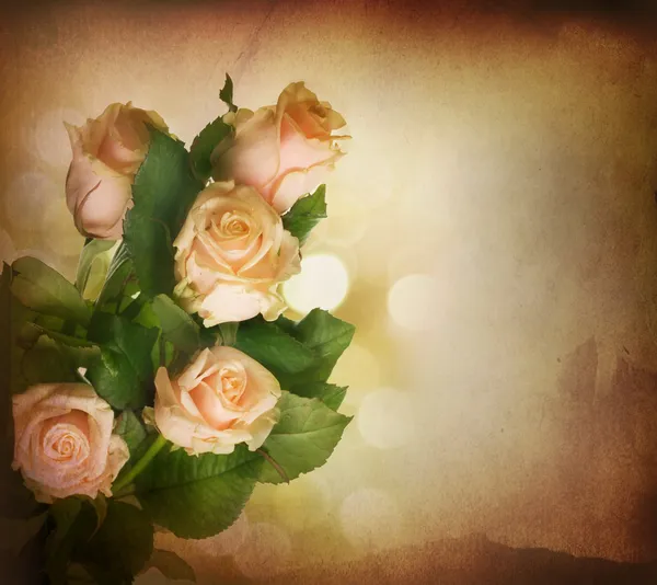 Gyönyörű rózsaszín rózsa. Vintage stílusú. Szépia tónusú — Stock Fotó