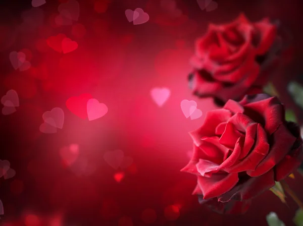 Valentijn of bruiloft kaart. rozen en harten — Stockfoto