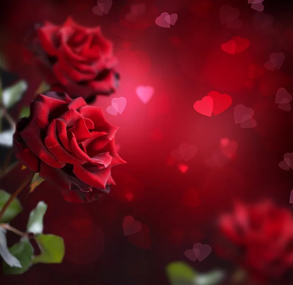 Tarjeta de San Valentín o boda. Rosas y Corazones — Foto de Stock