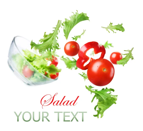 健康的蔬菜沙拉。节食的概念 — 图库照片