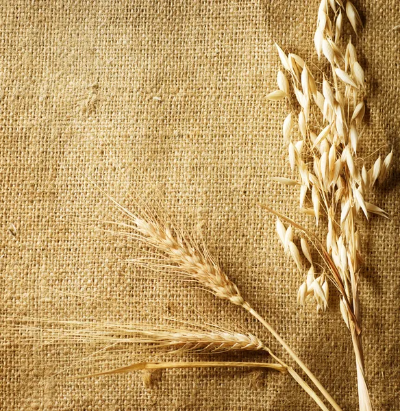 Orejas de trigo sobre fondo de arpillera. Estilo Country. Con espacio de copia — Foto de Stock