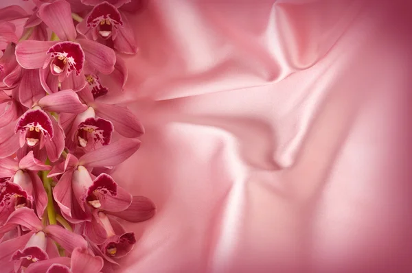Orchid And Silk — Stock Photo, Image
