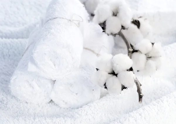 Toallas blancas de algodón con planta de algodón — Foto de Stock