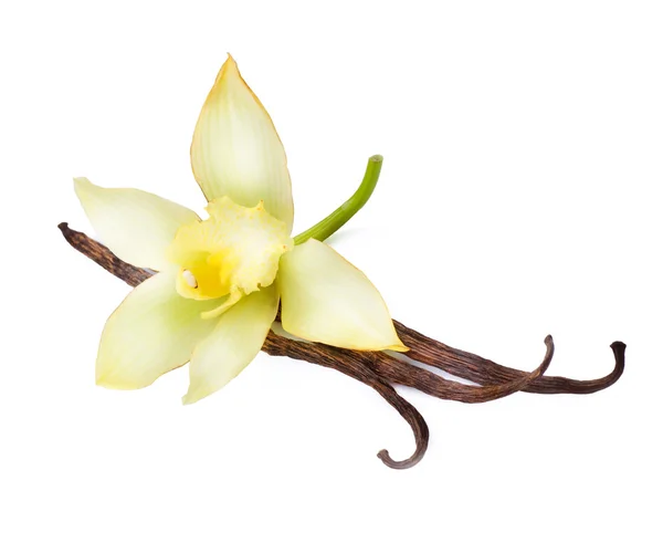 Cialde e fiori alla vaniglia — Foto Stock