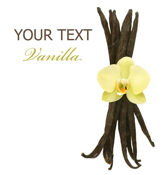 Güzel vanilya fasulye ve çiçek — Stok fotoğraf