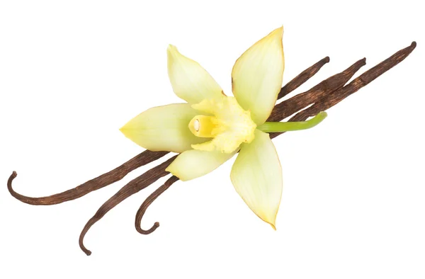 Vanilya Kabukları ve Çiçekler — Stok fotoğraf