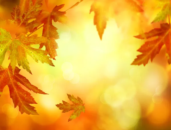 秋抽象的背景 ストック写真