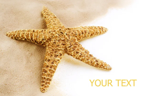 Deniz yıldızı kum kenarlık tasarımı. beyaz izole. tatil Stok Resim