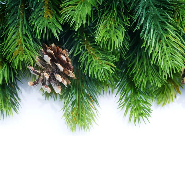 Vánoční jedle strom hranice Stock Obrázky