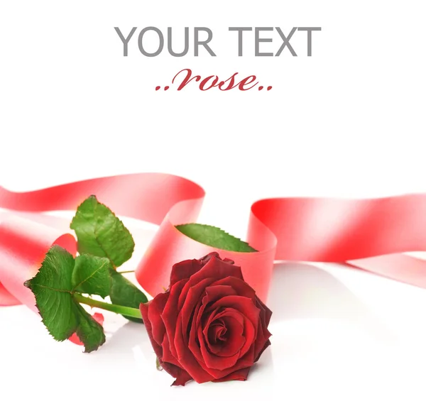 赤いバラとリボン — ストック写真