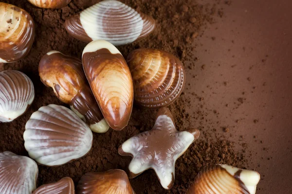Chocolate Seashells Border Stock Image