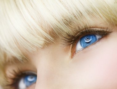 Blue Eyes clipart