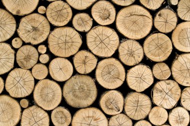 Wood Pile clipart