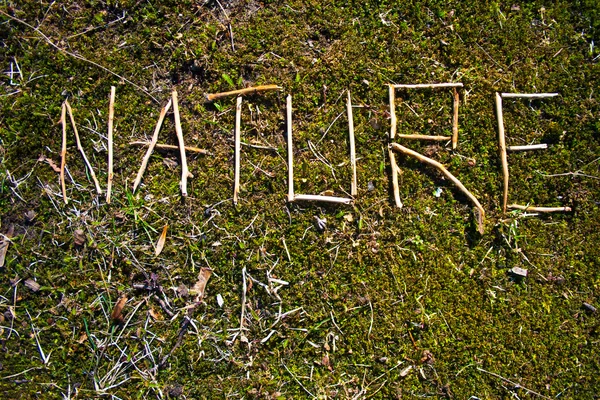 Natureza escrita no chão — Fotografia de Stock