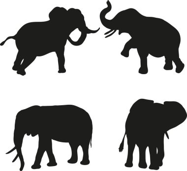 Silhouettes of elephants on a white background clipart