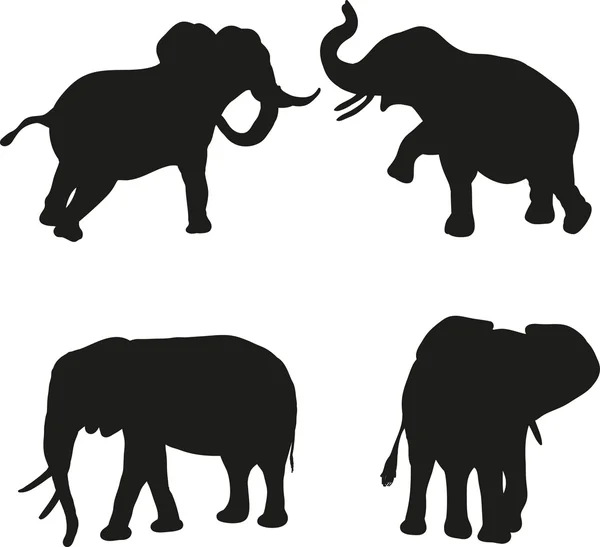 Sylwetki słoni na białym tle — Wektor stockowy